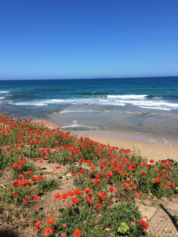 Artemisia Sardegna Hotell Tergu Exteriör bild